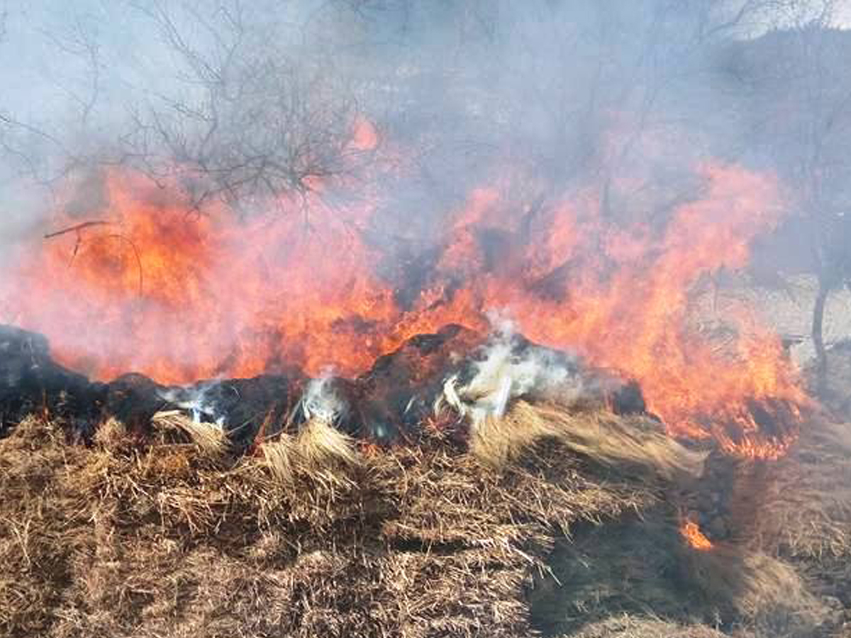 बैतडीको सुर्नयामा आगलागि हुँदा खर जलेर नष्ट, ३० हजार बढीको क्षति 